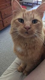 Kejune2323 profile photo