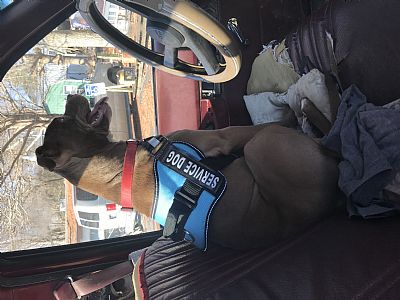 wildrickjames655@gmail.com profile photo