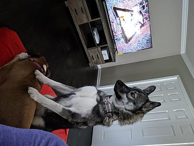 Bekah3576 profile photo