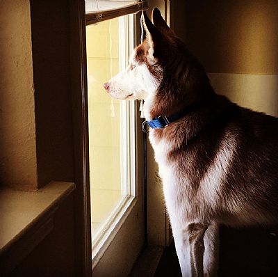 Benjilis profile photo