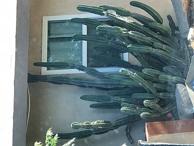 Msmarie818 profile photo