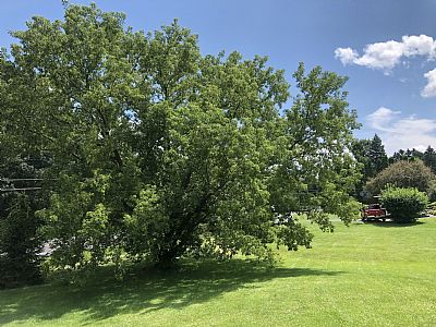 rassils profile photo