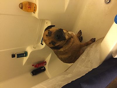 SJMOSS18 profile photo