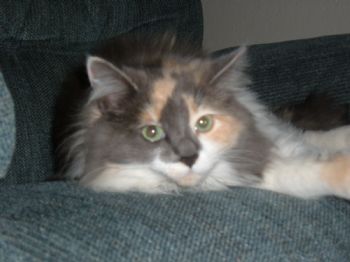 bobnheather0 profile photo