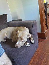 Haylee2019 profile photo