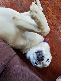 Haylee2019 profile photo