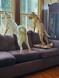 Haylee2019 profile photo