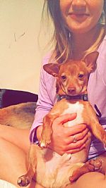 darvihal profile photo