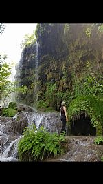 darvihal profile photo