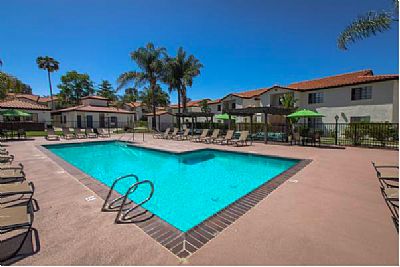 aliyusuf2846 profile photo