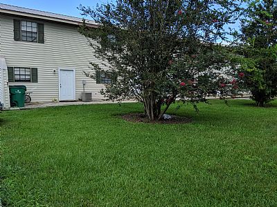 MNCajun profile photo