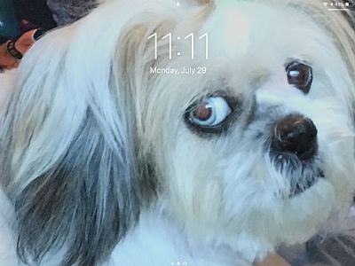 Babyfaceqt profile photo