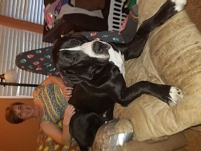 MicahR profile photo