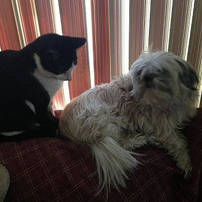 dovey2316 profile photo