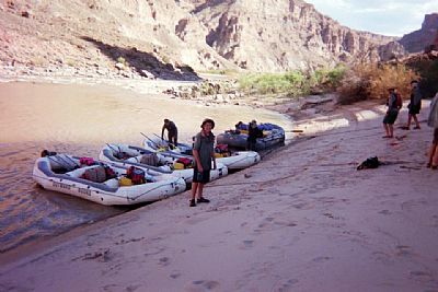 DevinTheNew19 profile photo