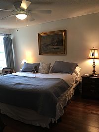 Lisedaniele profile photo