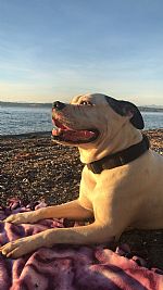 Taytay12444 profile photo