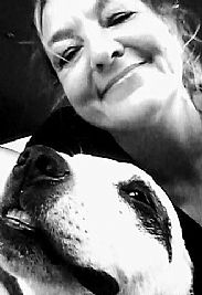 andylee profile photo