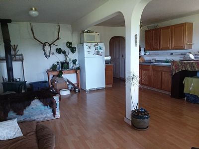 bearcanyon profile photo