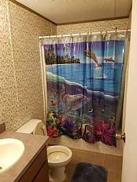 Tomsroomrental profile photo