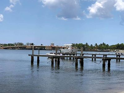 jsjazzy profile photo