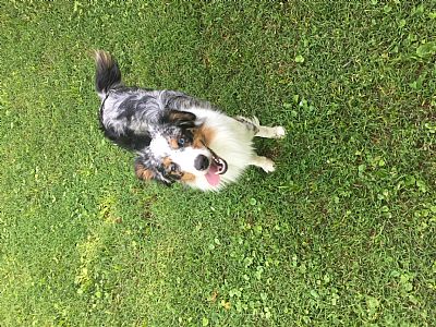 Maddie_1 profile photo