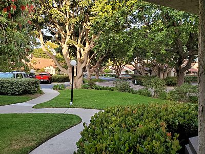 Nalaniz1959 profile photo