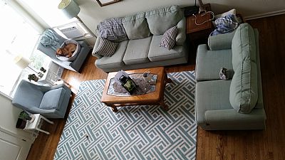 Tohanlon21 profile photo