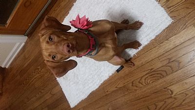 Tohanlon21 profile photo