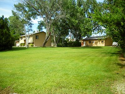 simplot1 profile photo