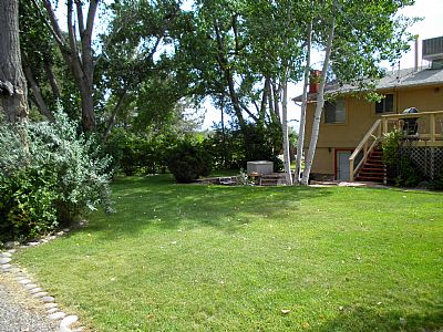 simplot1 profile photo