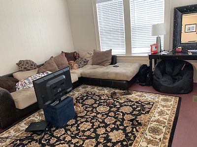 Lazafair profile photo