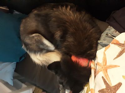 KrisJS profile photo