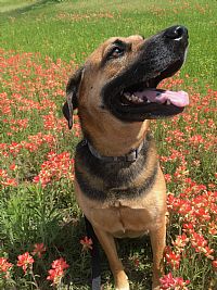 lilmac99 profile photo