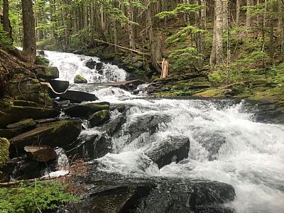 Roomie98503 profile photo