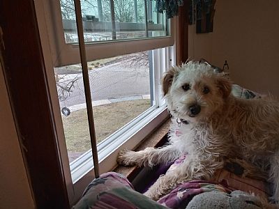 Honeygirl15216 profile photo