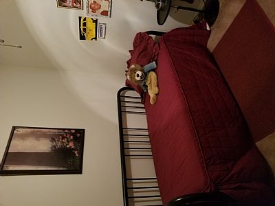 bernard50 profile photo