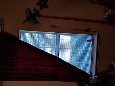 bernard50 profile photo