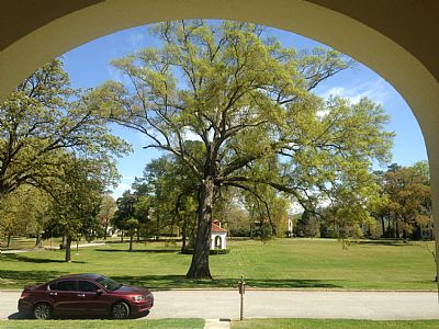 wendyu profile photo