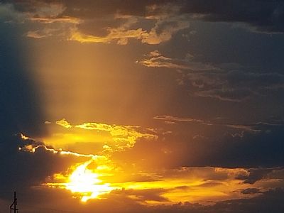 Xray tech profile photo