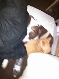 magnoliashorty profile photo