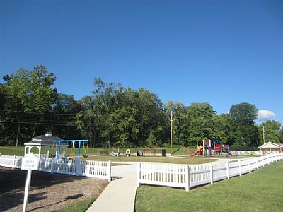 mt24456 profile photo