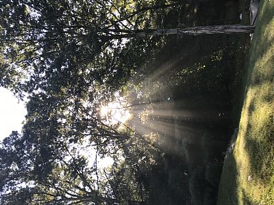 Kelby35 profile photo