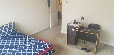 agogoi profile photo