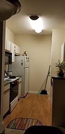 agogoi profile photo