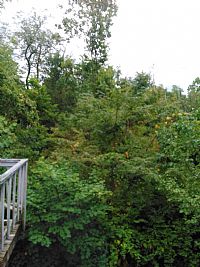 KaraokeJohn profile photo