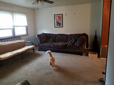 Saraslade profile photo