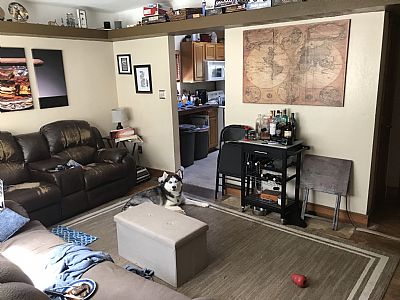 bohlj988 profile photo