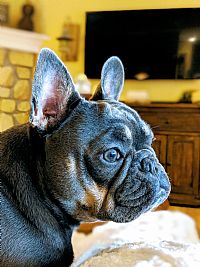 mseiden profile photo