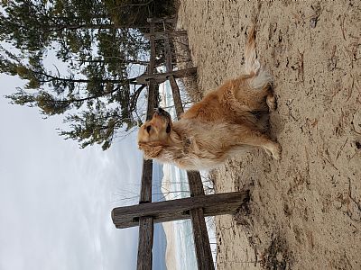 vanloom profile photo